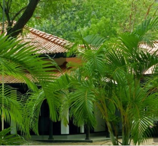 Jayasinghe Holiday Resort Kataragama Esterno foto